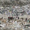 San Pedro: ordenan medidas urgentes para controlar un basural a cielo abierto de 20 hectáreas